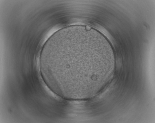 X0000113611290200910091533