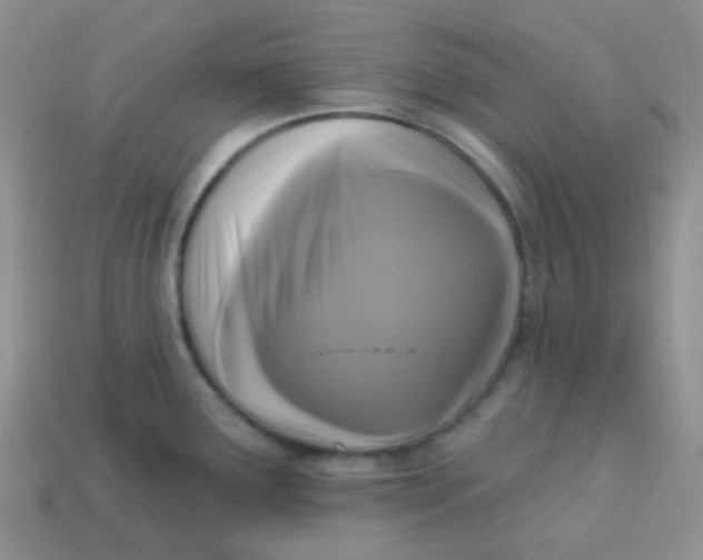 X0000113611291200910091533