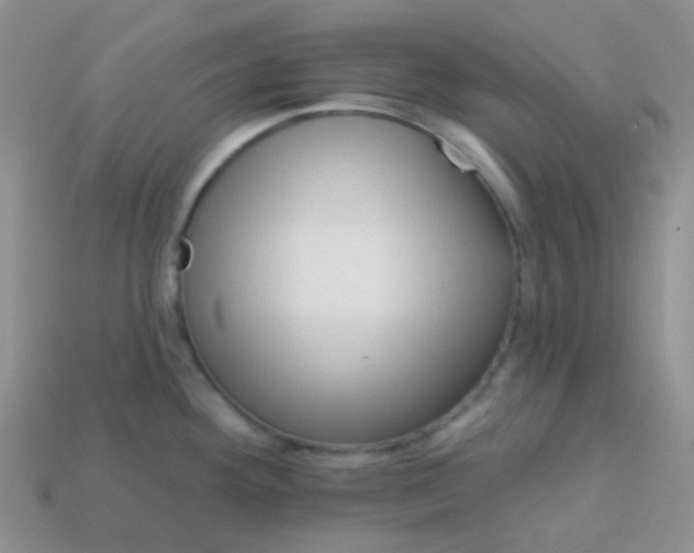 X0000113611292200910091533