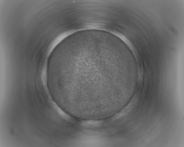 X0000113611294200910091533