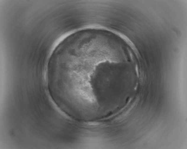 X0000113611295200910091533