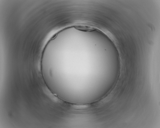 X0000113611296200910091533