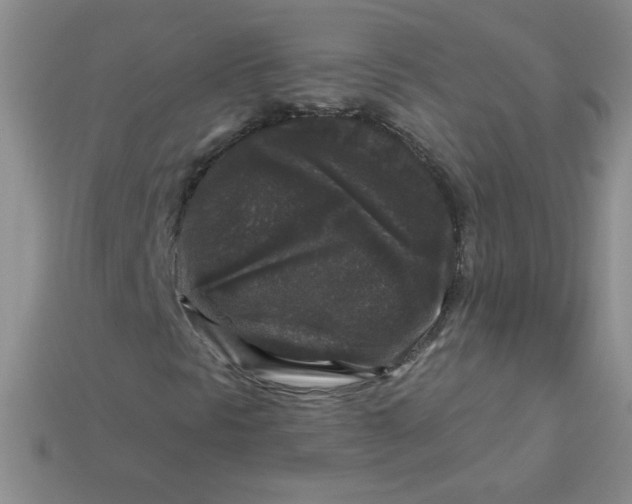 X0000113611297200910091533