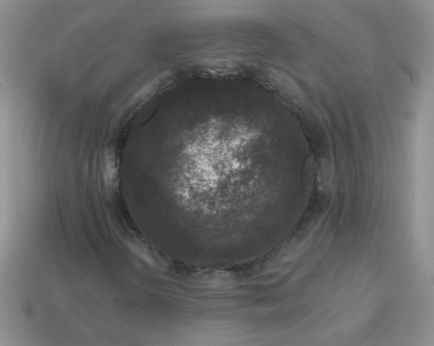 X0000113611298200910091533