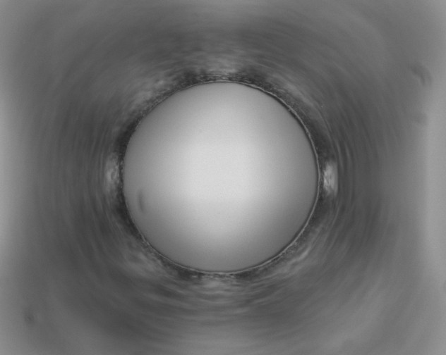 X0000113611299200910091533