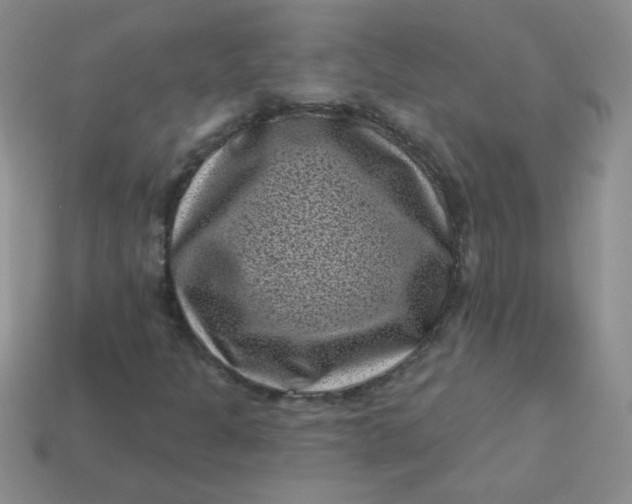 X0000113611301200910091533