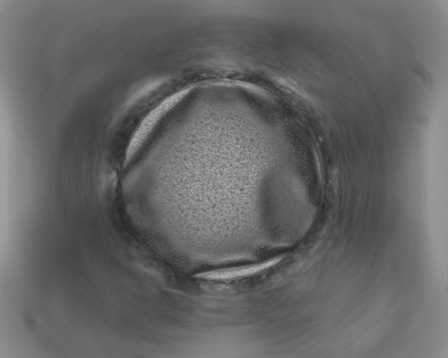 X0000113611302200910091533