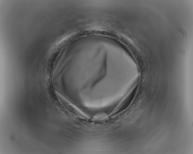 X0000113611303200910091533