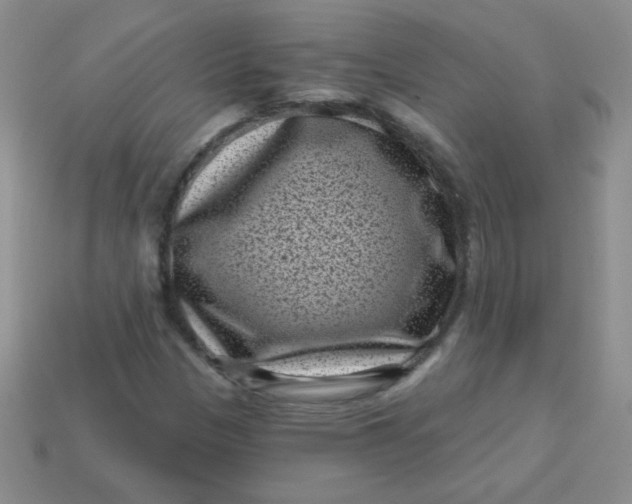 X0000113611305200910091533