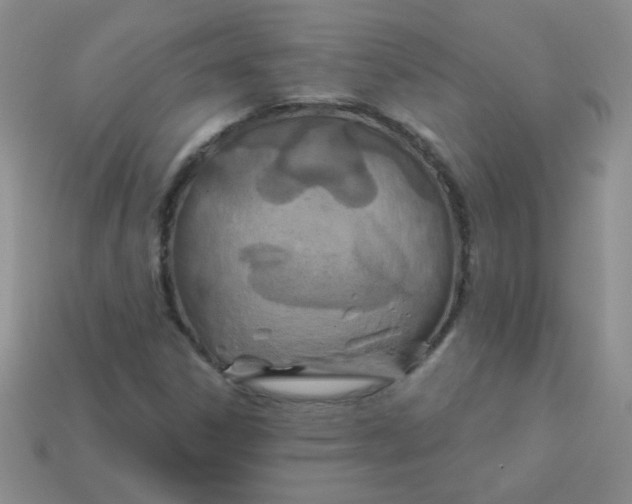 X0000113611306200910091533