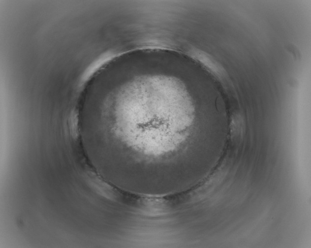 X0000113611310200910091533