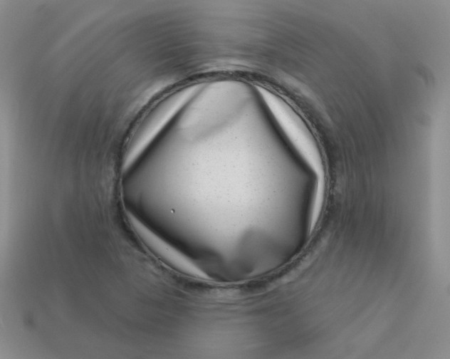 X0000113611313200910091533