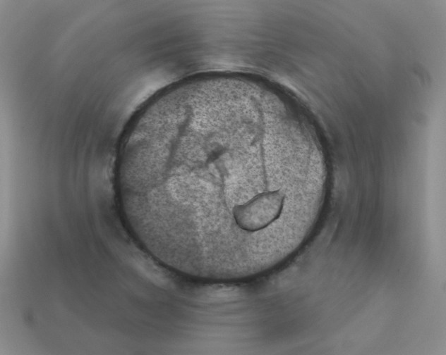 X0000113611314200910091533