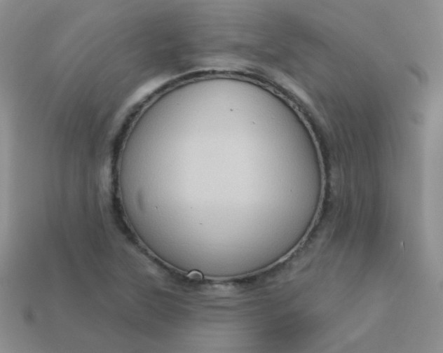 X0000113611315200910091533