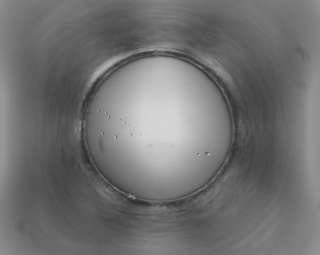 X0000113611316200910091533