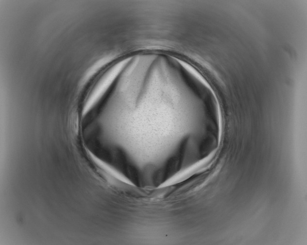 X0000113611317200910091533