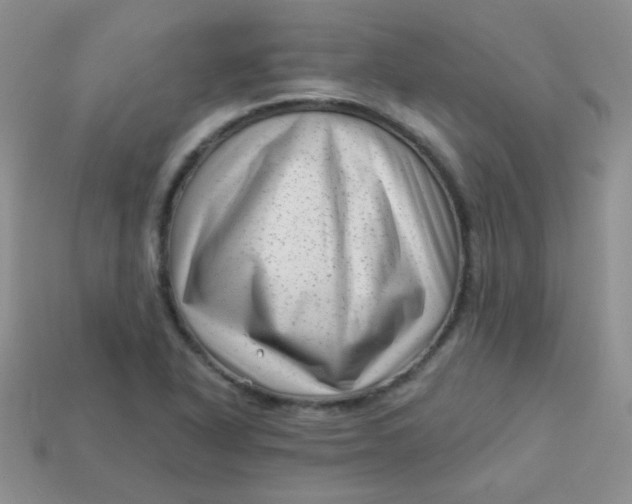 X0000113611318200910091533