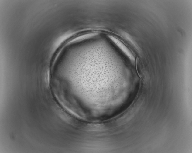 X0000113611320200910091533