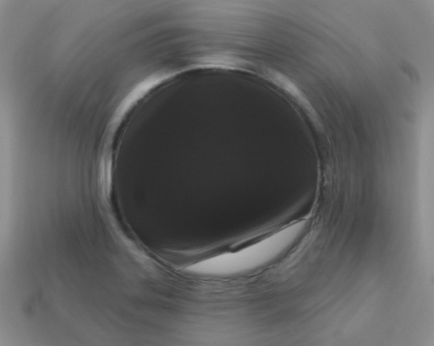 X0000113611323200910091533