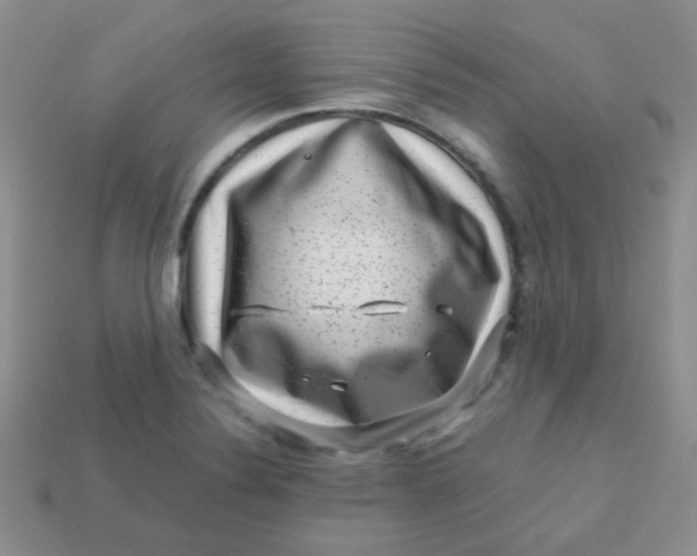 X0000113611324200910091533