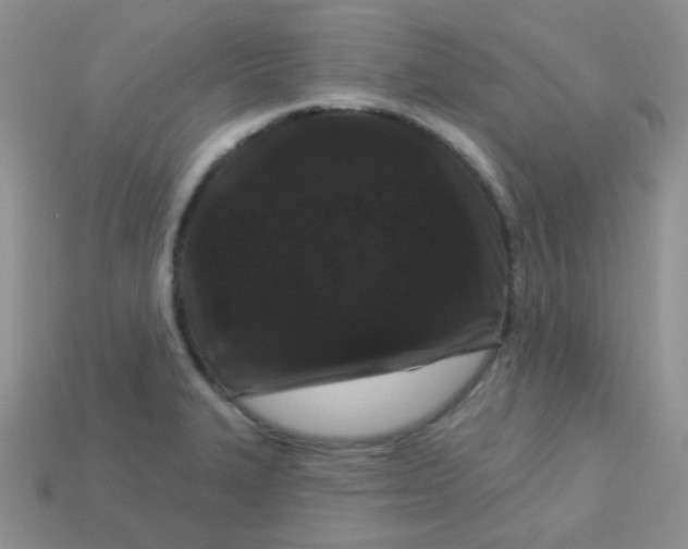 X0000113611327200910091533