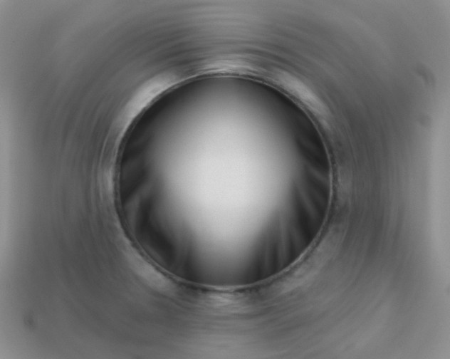 X0000113611330200910091533