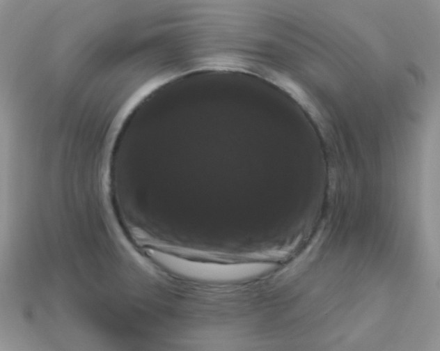 X0000113611331200910091533