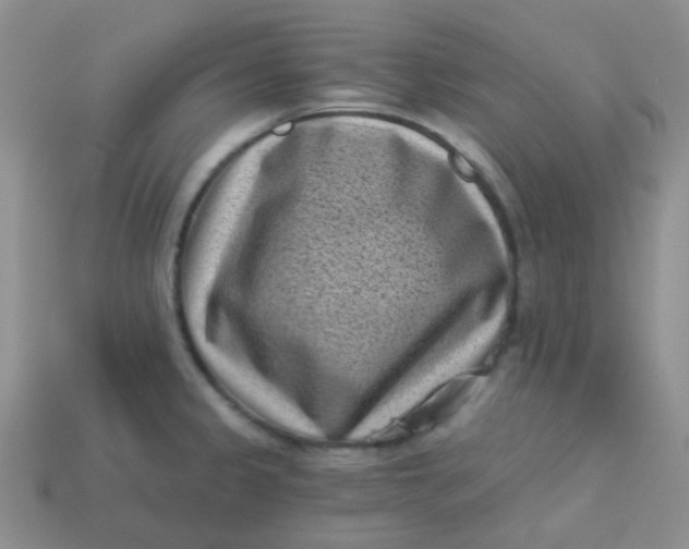 X0000113611333200910091533