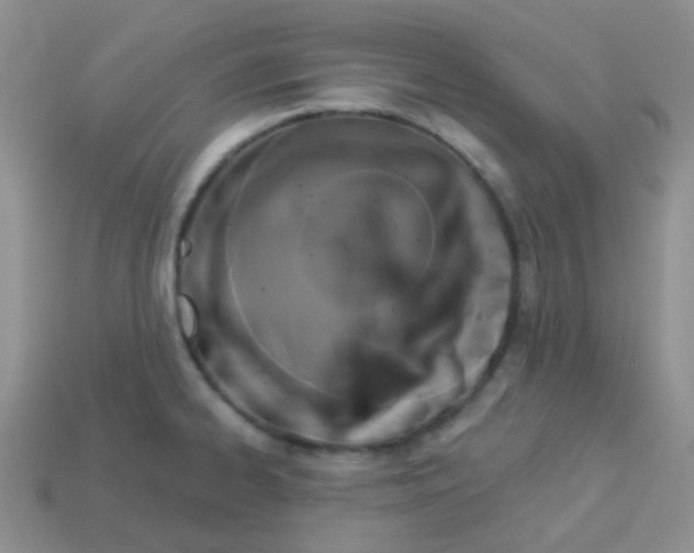 X0000113611334200910091533