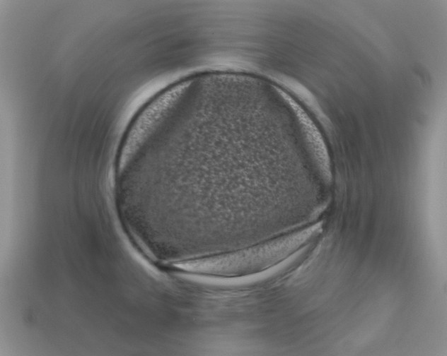 X0000113611335200910091533