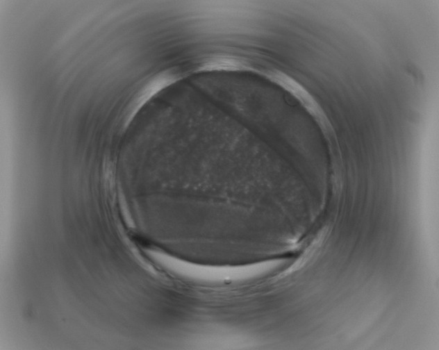 X0000113611337200910091533