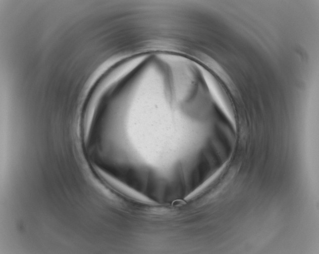 X0000113611339200910091533