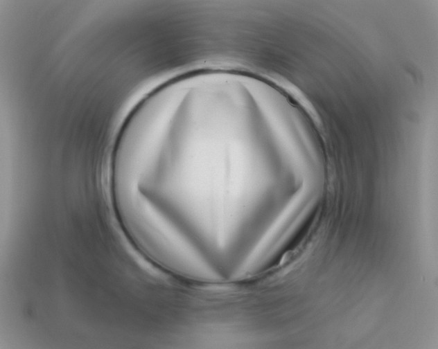 X0000113611343200910091533