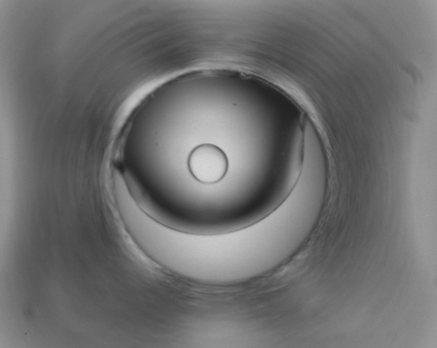 X0000113611344200910091533