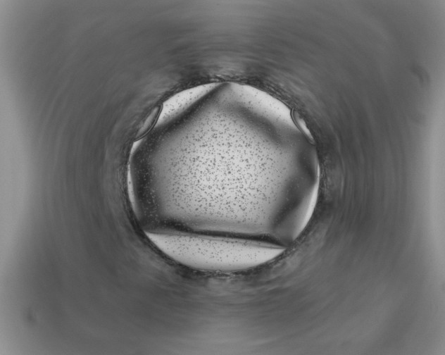 X0000113611345200910091533