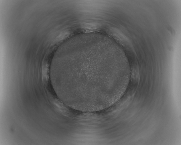 X0000113611346200910091533