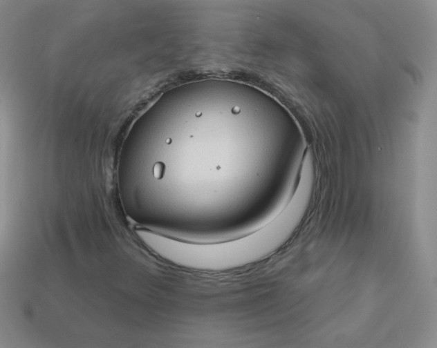 X0000113611348200910091533