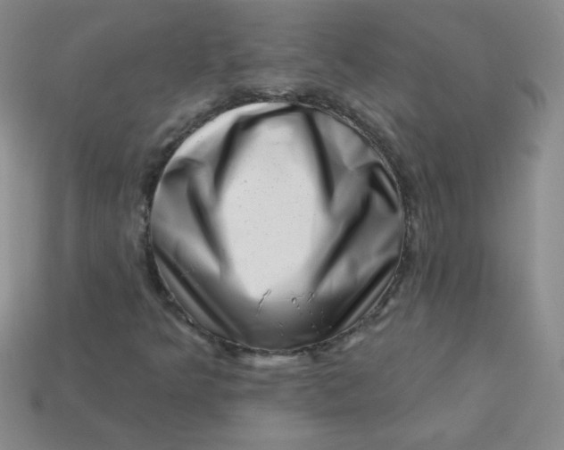 X0000113611349200910091533