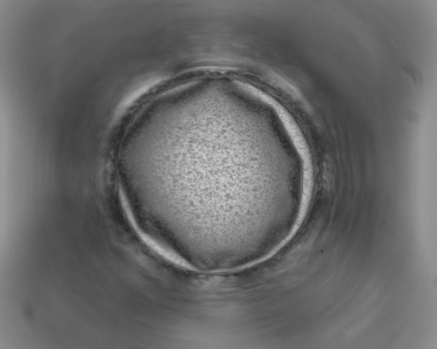 X0000113611352200910091533