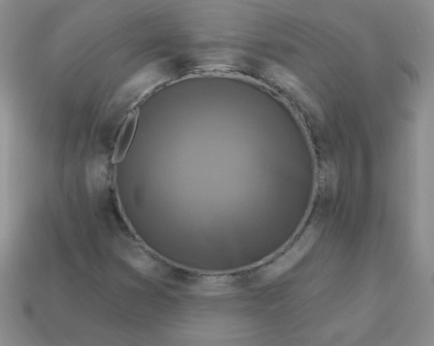 X0000113611353200910091533