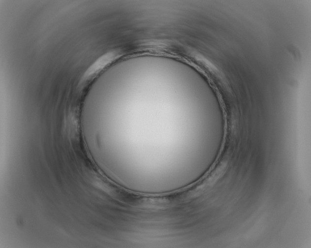 X0000113611354200910091533