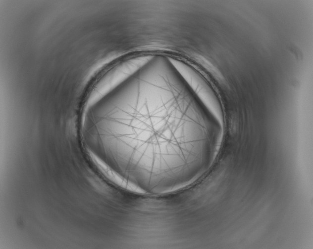 X0000113611356200910091533