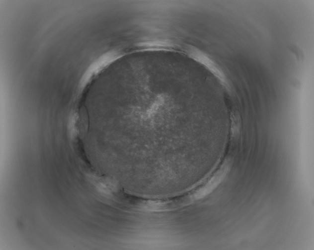 X0000113611357200910091533