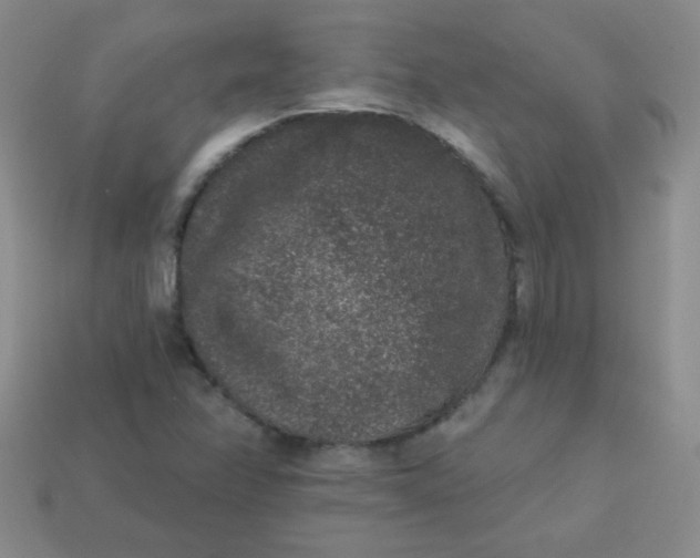 X0000113611358200910091533