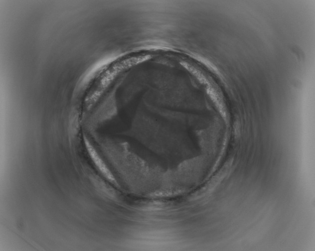 X0000113611359200910091533