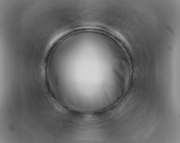 X0000113611360200910091533