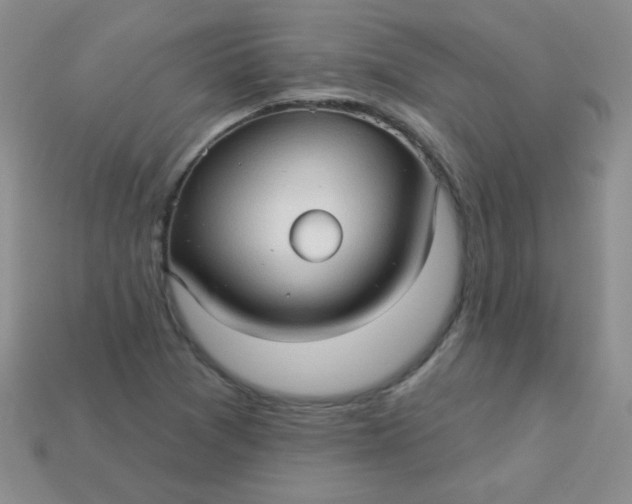 X0000113611361200910091533