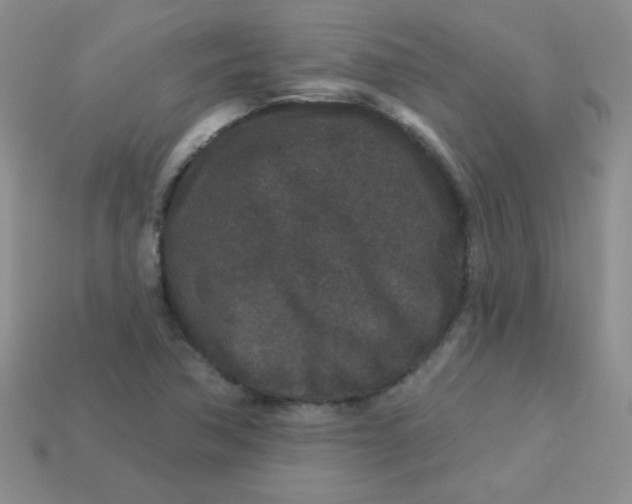 X0000113611362200910091533