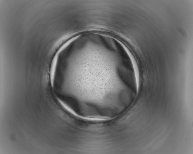 X0000113611363200910091533