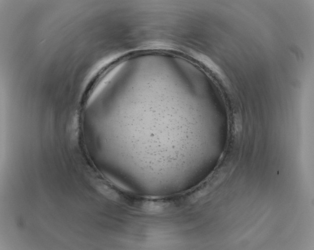 X0000113611364200910091533